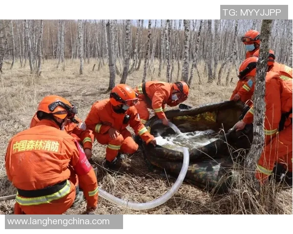 细数灰熊五大高光时刻,满满回忆杀 细数灰熊五大高光时刻,满满回忆杀